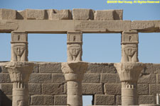 Hathor pillars