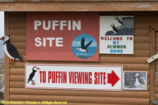 puffin sign