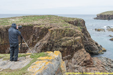 Paul photographing puffins