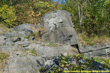 fossil on limestone wall