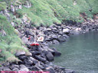 Boat Cove landing site