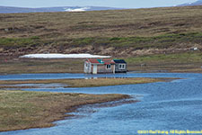 cabin in river