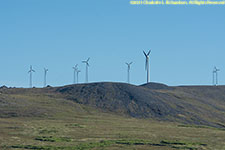 wind farm