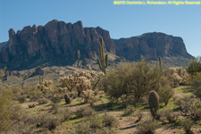 mesa and cactuses