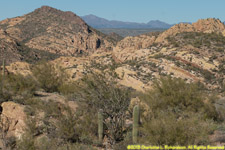 buttes and cactuses