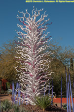 Chihuly glass