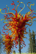 Chihuly glass