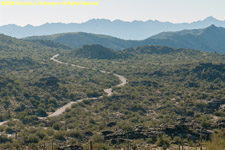 park road and mountains