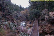 Paul exploring stream