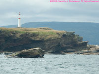 Bird Island lighthouse