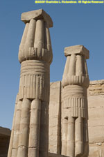 papyrus columns