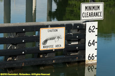 manatee sign