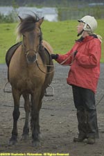 horse and rider