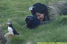 Phil and a puffin