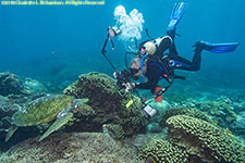 Paul underwater