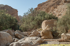 wadi