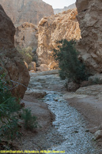 wadi