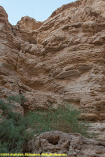 canyon wall