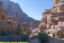 trail to Al-Deir