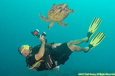 photographer and turtle