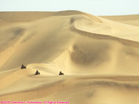 Swapkomund dunes