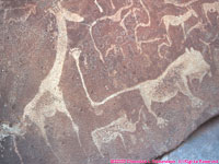 lion petroglyph