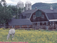 a farm in Sugar Hill