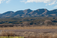 corn field