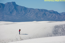 Charlotte and dune field