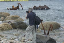 Paul photographing shipwreck