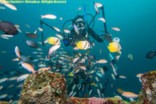 Paul with many fish