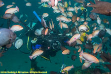 Paul with many fish