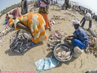 vendors on the beach