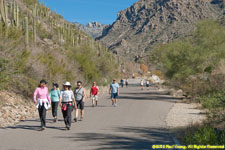 canyon hikers