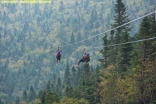 zip liners