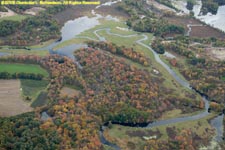 stream and foliage