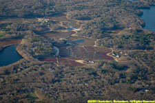 cranberry bogs