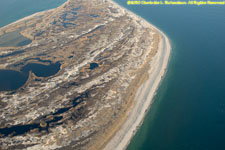 southern Monomoy, with seals