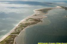 looking south along Monomoy