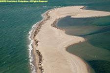 sand bar and seals