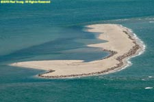 sand bar with seals