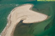 sand bar and seals