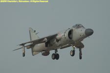 Harrier