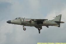 Harrier