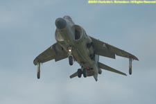 Harrier