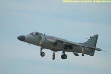 Harrier