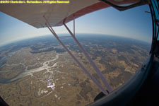 salt marsh