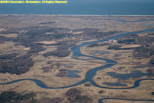 salt marsh