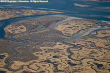 salt marsh