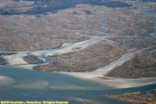 salt marsh